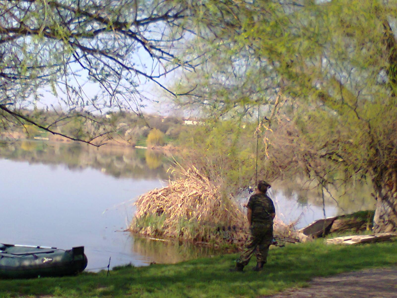 Tancabesti - fotografie0021.jpg